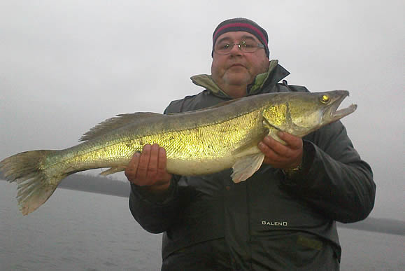 Zander im kleinen Jasmunder Bodden